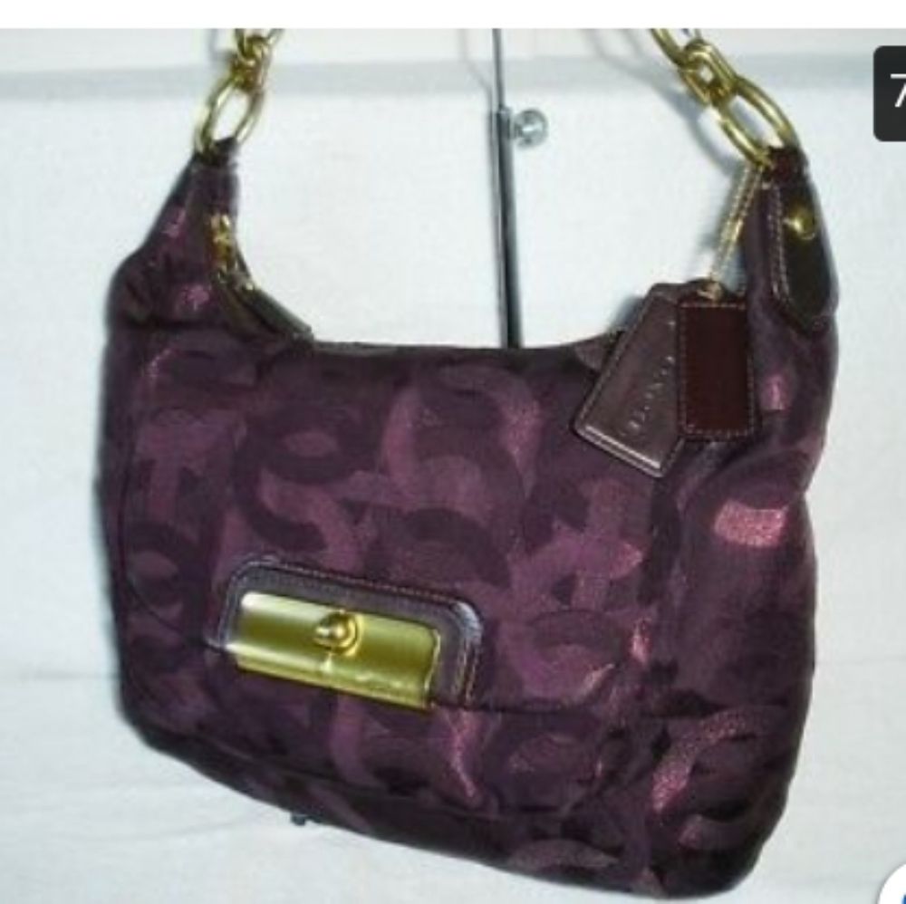 Coach Kristin Chainlink Metallic Lurex Hippie Bag/Purse/Hobo/Cross-Body 18295